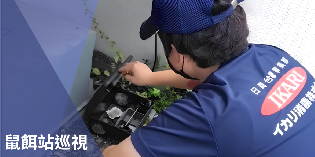 官網內圖 (1)