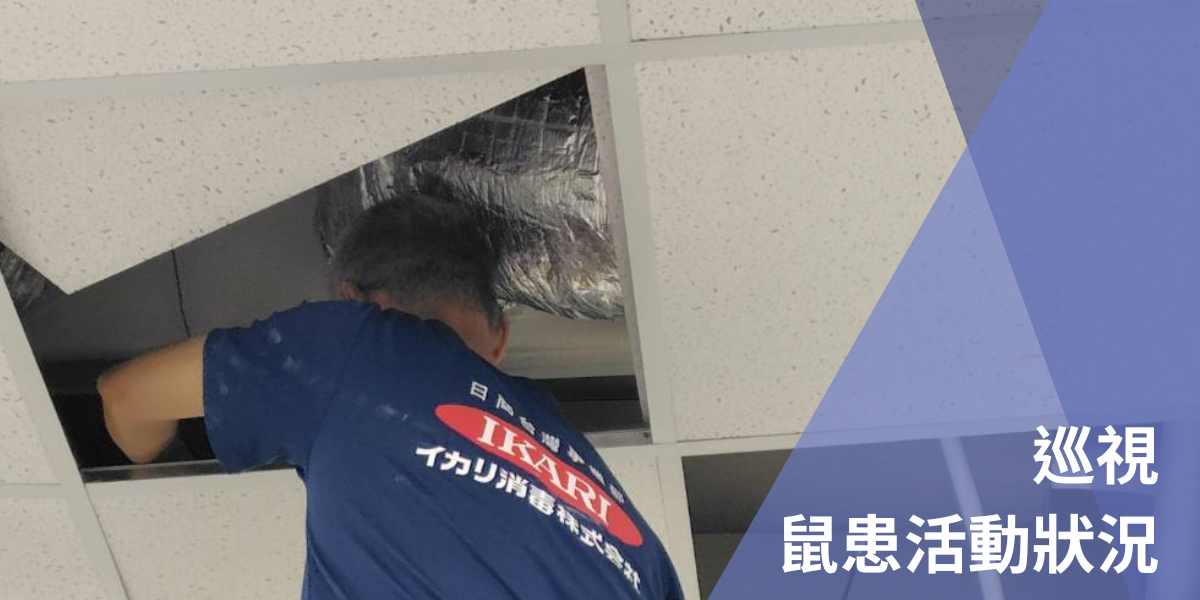 官網內圖 (2)