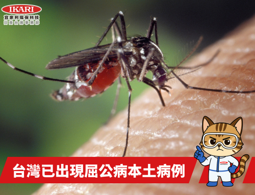 屈公病與登革熱威脅升溫，防蚊刻不容緩！