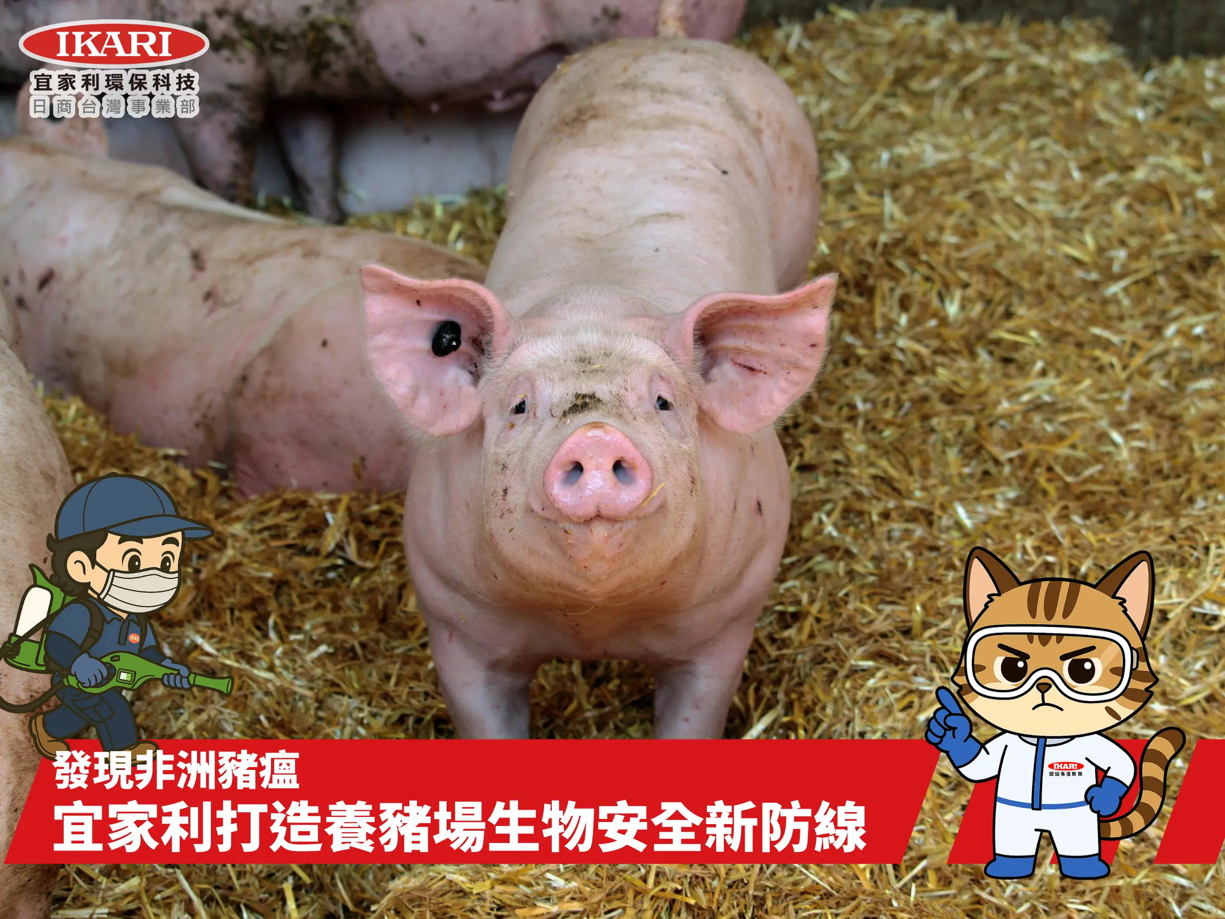 AnyConv.com__非洲豬瘟