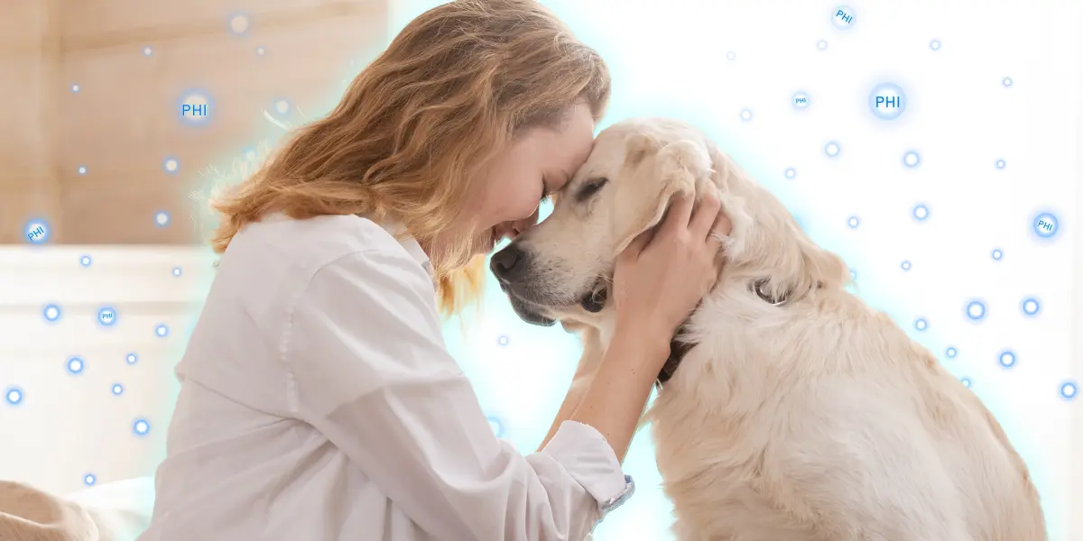 RGF空氣清淨機推薦-去除寵物異味與二手菸